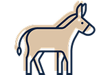 An illustration of a mule.