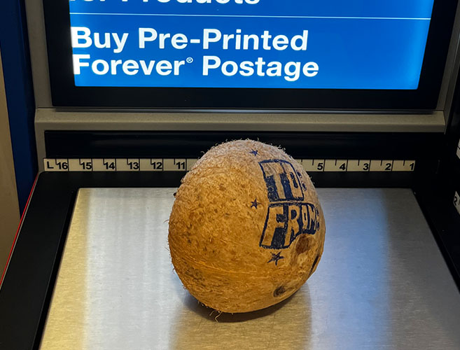 A colorful photograph featuring a coconut on a postal scale with the words 'To' and 'From' written on it.