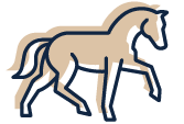An illustration of a horse.