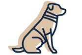 An illustration of a dog wearing a vest.