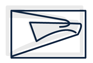 An illustration of the Sonic Eagle logo (the head of an eagle in flight).