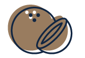 An illustration of a coconut.