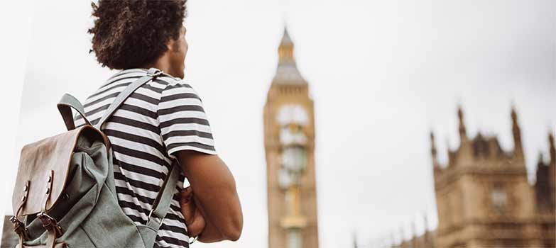 shipping animals internationally