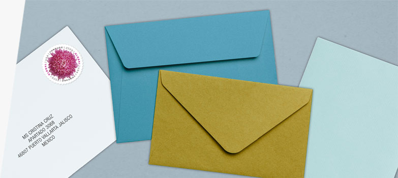 带国际地址和全球 Forever® 菊花 Stamp (永久邮票)的 First-Class 邮件 International® 信封 。