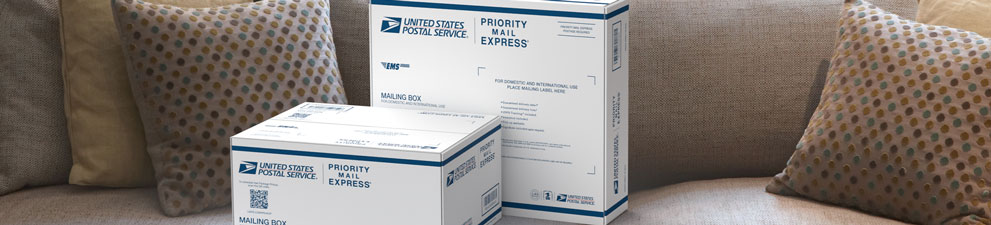 Dos cajas Priority Mail Express® sobre un sofá.