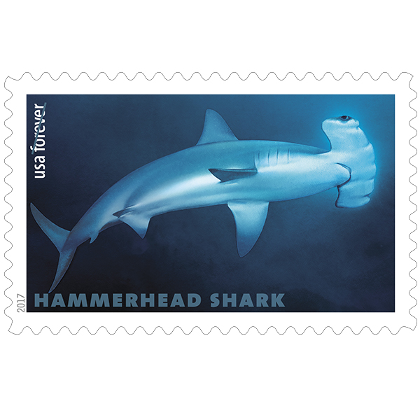 Guide on Where to Buy Stamps Near Me • Buy stamps from a stamp dealer When you want to invest in a rare stamp specimen or buy postage stamp collections, the best person to look for is the right stamp dealer. Check the phonebook and the classified ads for the nearest stamp dealers in your locale.