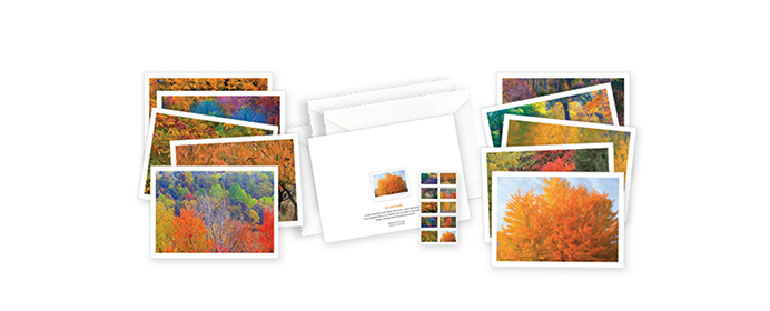 Autumn Notecards available <a href=