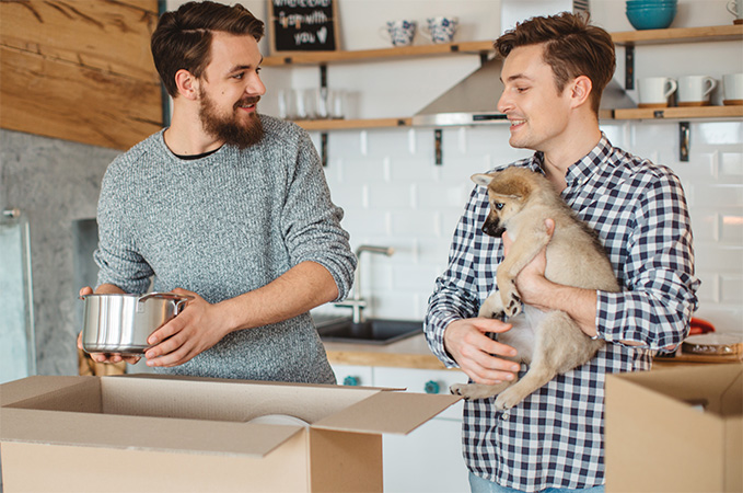A couple packing boxes together while holding their dog.