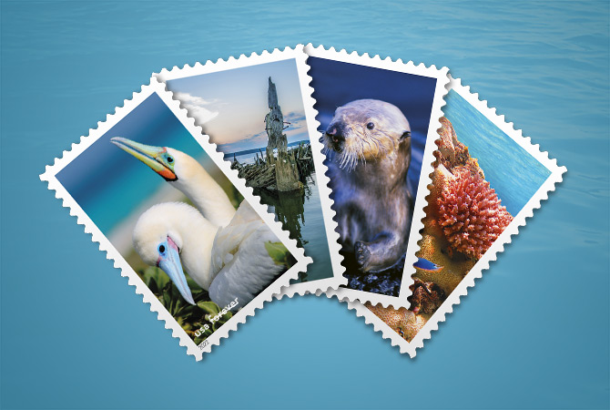 Four of the National Marine Sanctuaries Forever Stamps on a blue ocean background.