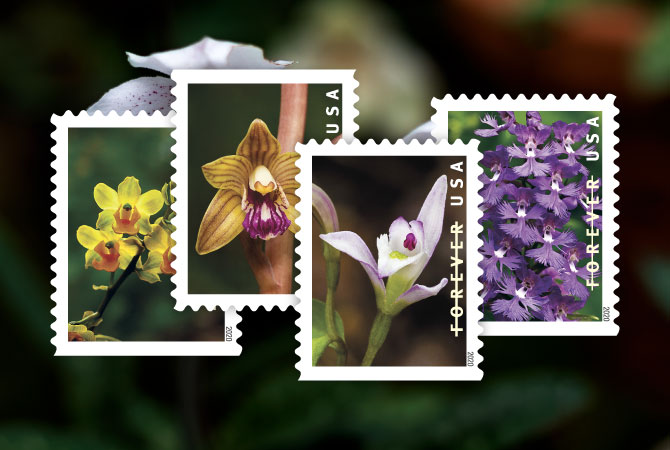Four of the Wild Orchids Forever Stamps.
