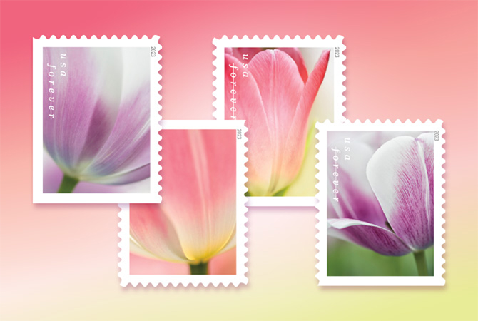 Tulip Blossoms Forever Stamps.