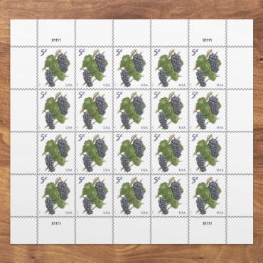  Green Succulent Sheet of 10 Global USPS First Class International  Forever Postage Stamps (2) : Office Products