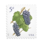 Grapes Stamps image