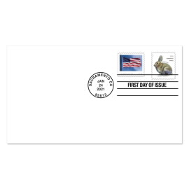 Brush Rabbit Additional Ounce First Day Cover from Sheet of 20