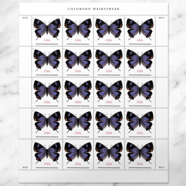 California Dogface Butterfly 1 Sheet of Twenty (Two-ounce) Forever USPS Postage Stamp Celebrate Wedding (20 Stamps)