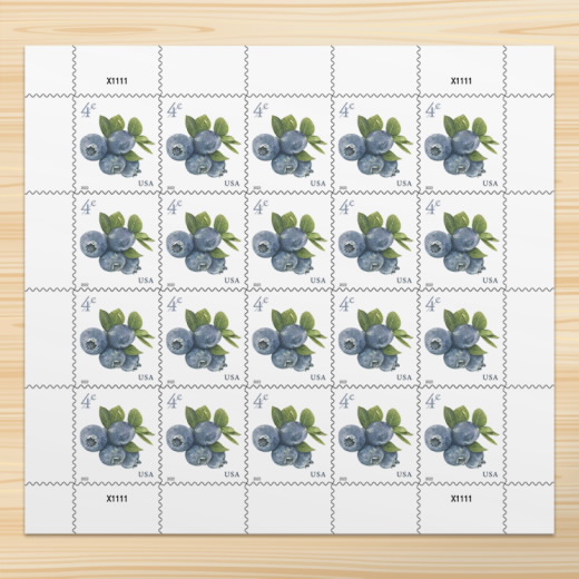Blueberries Stamps