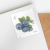 Blueberries Stamps