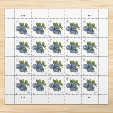 Blueberries Stamps