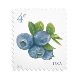 Blueberries Stamps