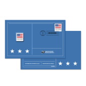U.S. Flag 2023 Stamped Pins image