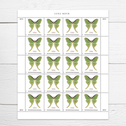 Luna Moth Stamps $1.27