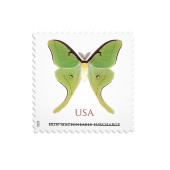 Luna Moth Stamps $1.27 image