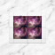 Star Cluster Stamps