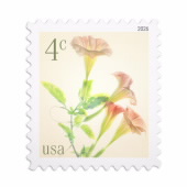 Angel's Trumpets Stamps image