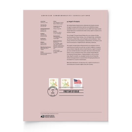 Angel’s Trumpets American Commemorative Cancellation Page