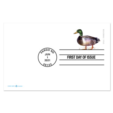 Mallard Stamped Card First Day Cover