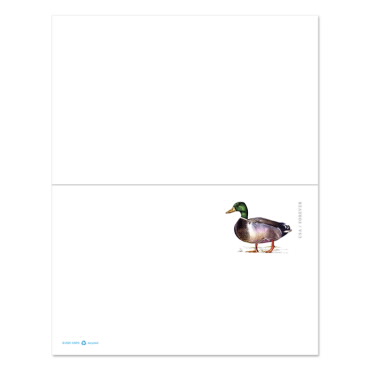 Mallard Double Reply Stamped Card
