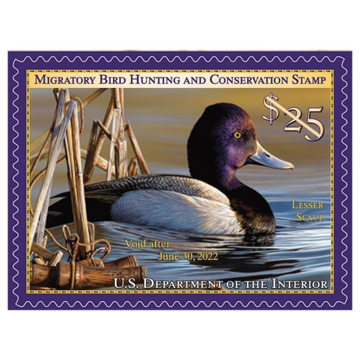 Migratory Bird 2021-2022 Federal Duck Stamps