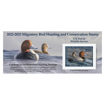 Redhead Duck 2022-2023 Souvenir Sheet