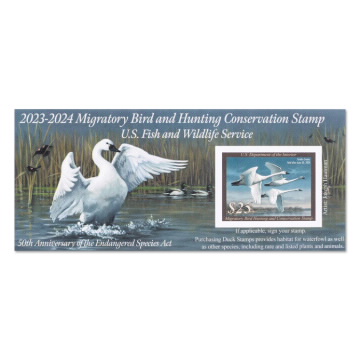 Tundra Swans 2023-2024 Federal Duck Stamp Souvenir Sheet