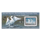 Tundra Swans 2023-2024 Souvenir Sheet image