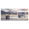 Northern Pintail 2024-2025 Federal Duck Stamp Souvenir Sheet