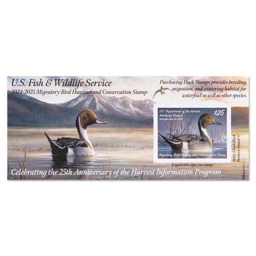 Northern Pintail 2024-2025 Federal Duck Stamp Souvenir Sheet