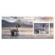 Northern Pintail 2024-2025 Federal Duck Stamp Souvenir Sheet