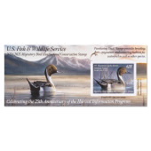 Northern Pintail 2024-2025 Federal Duck Stamp Souvenir Sheet image