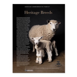 Heritage Breeds American Commemorative Panel