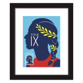 Title IX Framed Stamps - Runner image