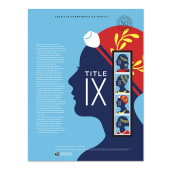 Title IX American Commemorative Panel® image