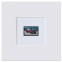 Pony Cars Matted Stamp, Mercury Cougar