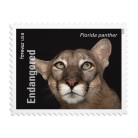 Endangered Species Stamps