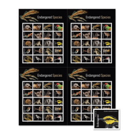 Endangered Species Press Sheet with Die-Cuts