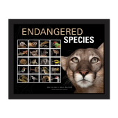 Endangered Species Framed Stamps, Florida Panther image