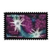Life Magnified Stamps image