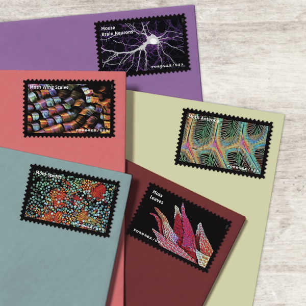 Life Magnified Stamps