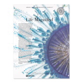 Life Magnified American Commemorative Panel® image