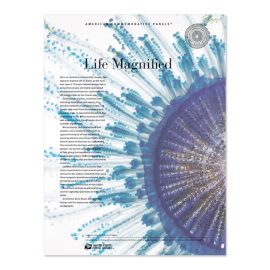 Life Magnified American Commemorative Panel®